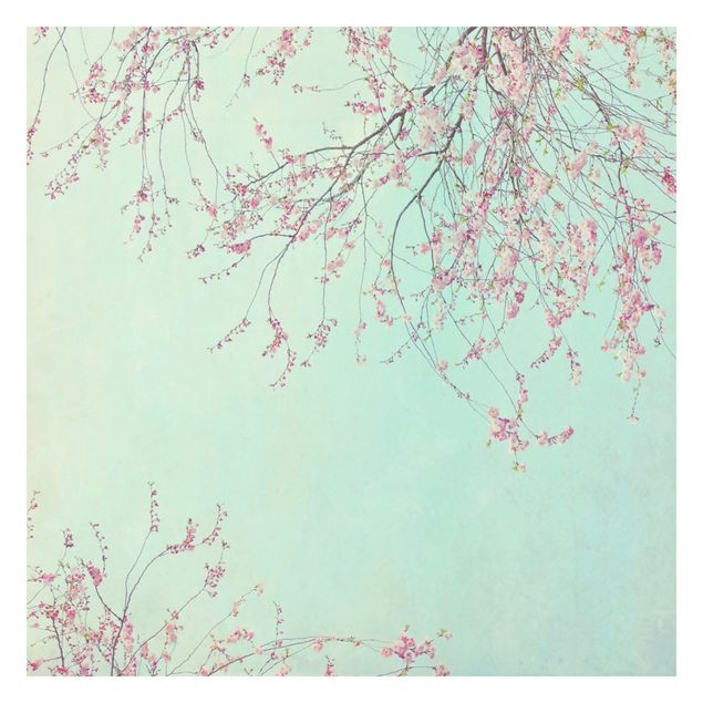 Fototapete selbstklebend Kirschblütensehnsucht