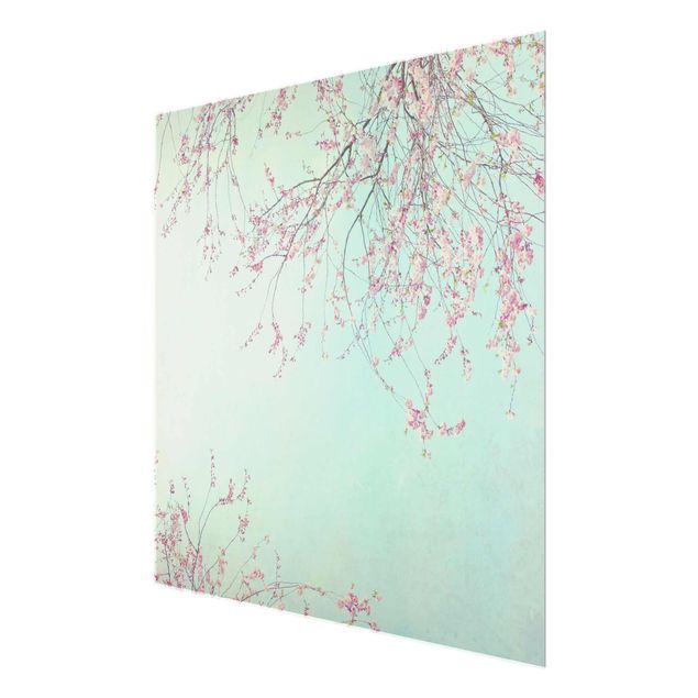 Glasbild - Kirschblütensehnsucht - Quadrat