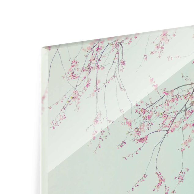 Glasbild - Kirschblütensehnsucht - Quadrat