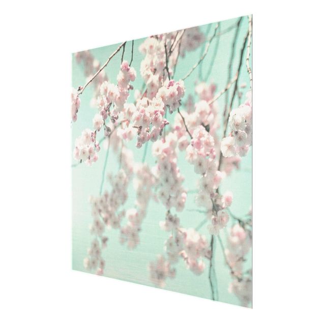 Glasbild - Kirschblütentanz auf Leinenstruktur - Quadrat