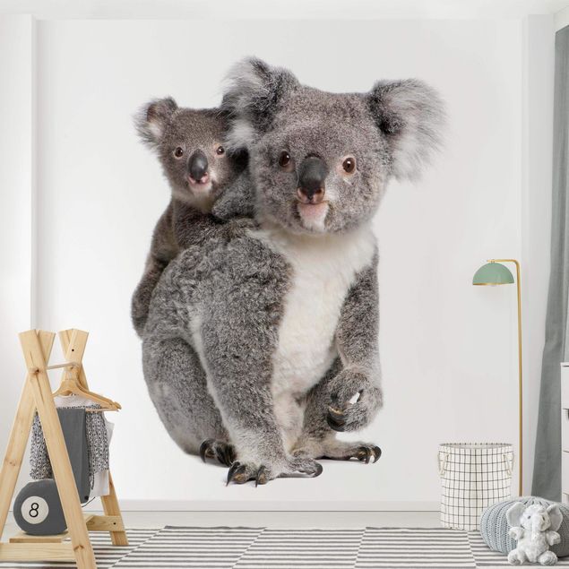 Tier Tapeten Koalabären