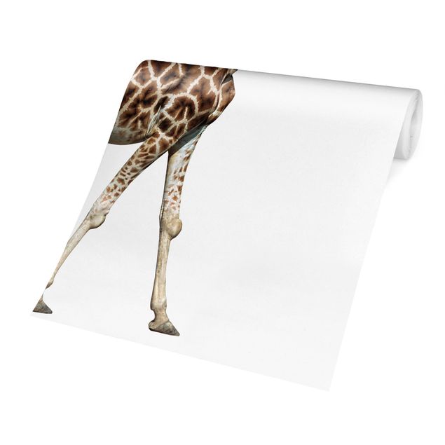 Fototapete - Laufende Giraffe