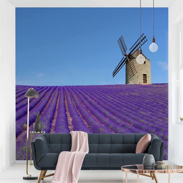 Design Tapeten Lavendelduft in der Provence