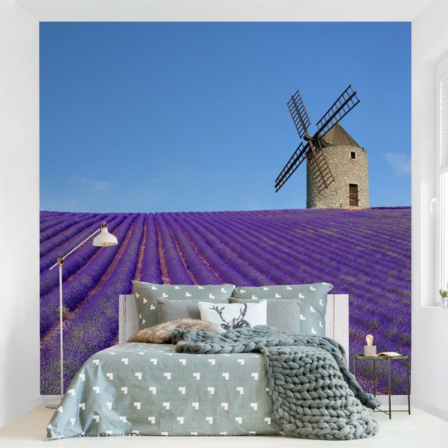 Tapete Natur Lavendelduft in der Provence