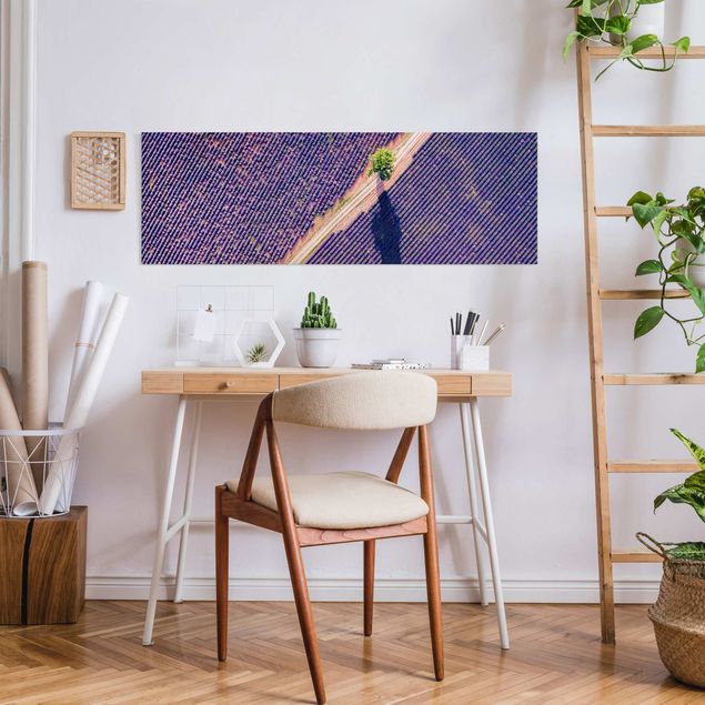 Wandbilder Lavendelfeld Draufsicht