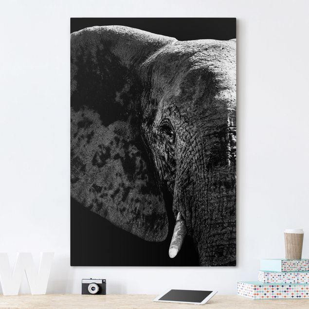 Bilder Afrikanischer Elefant schwarz-weiß