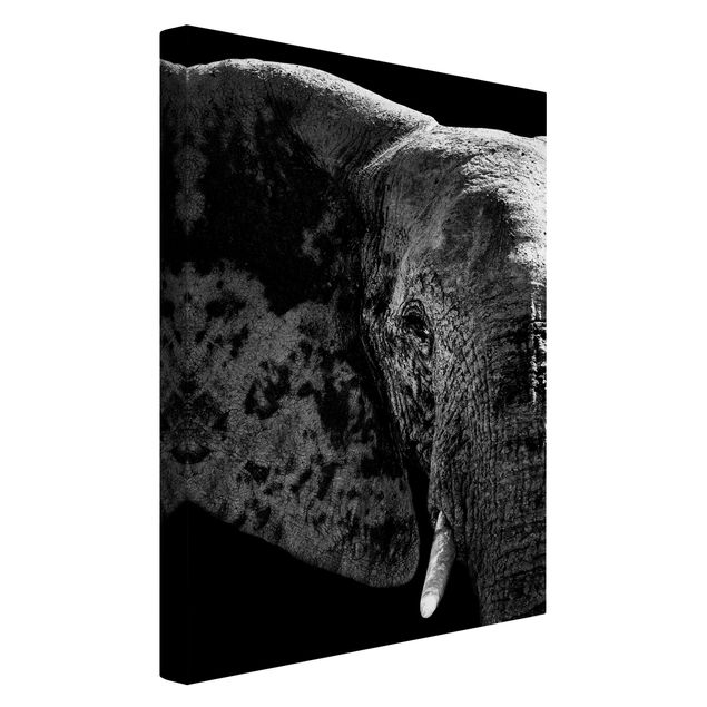 Leinwandbilder Afrikanischer Elefant schwarz-weiß