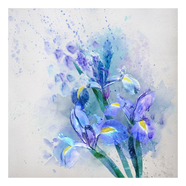 Leinwandbild - Aquarell Blumen Iris - Quadrat 1:1