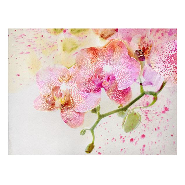 Leinwandbild - Aquarell Blumen Orchideen - Quer 4:3