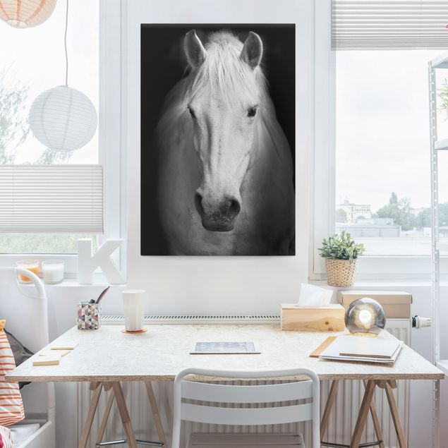Leinwand schwarz-weiß Dream of a Horse