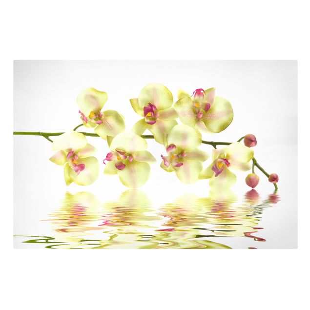 Leinwandbild - Dreamy Orchid Waters - Quer 3:2