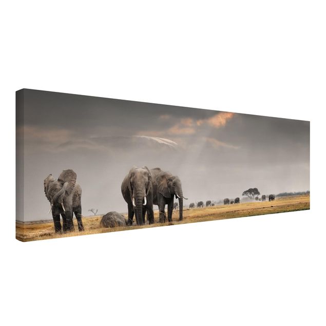 Afrika Leinwandbild Elefanten der Savanne - Panorama Quer