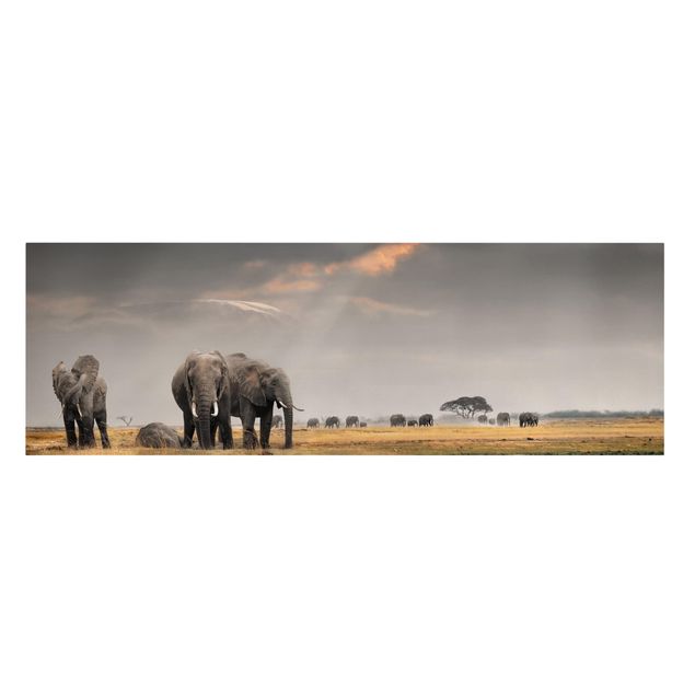 Afrika Leinwandbild Elefanten der Savanne - Panorama Quer