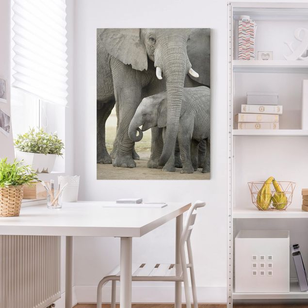 Bilder Elefantenliebe
