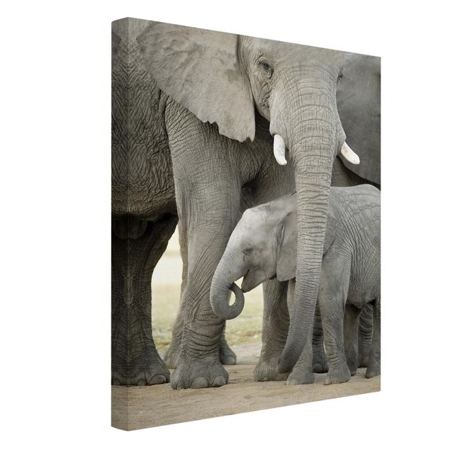 Leinwandbilder Elefantenliebe