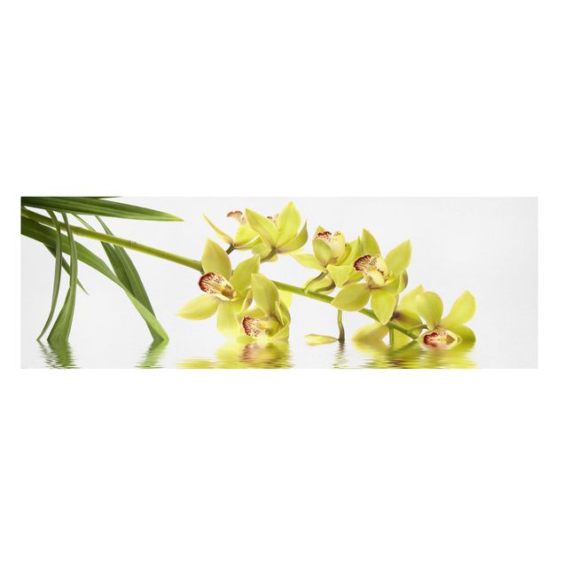 Leinwandbild - Elegant Orchid Waters - Panorama Quer