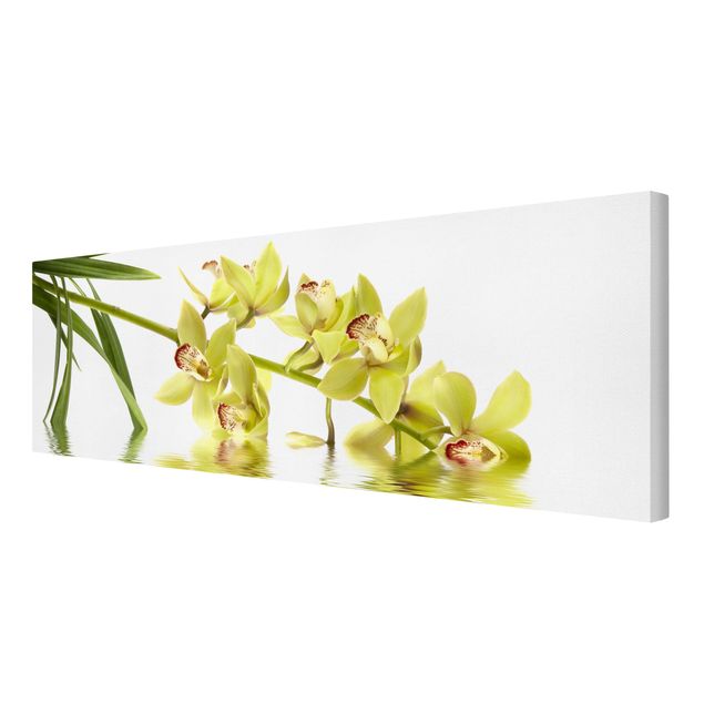 Leinwandbild - Elegant Orchid Waters - Panorama Quer