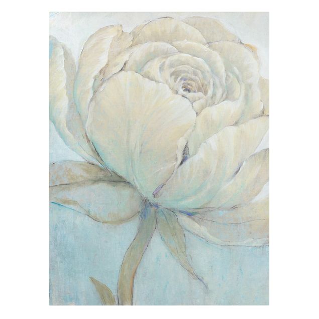 schöne Leinwandbilder Englische Rose Pastell