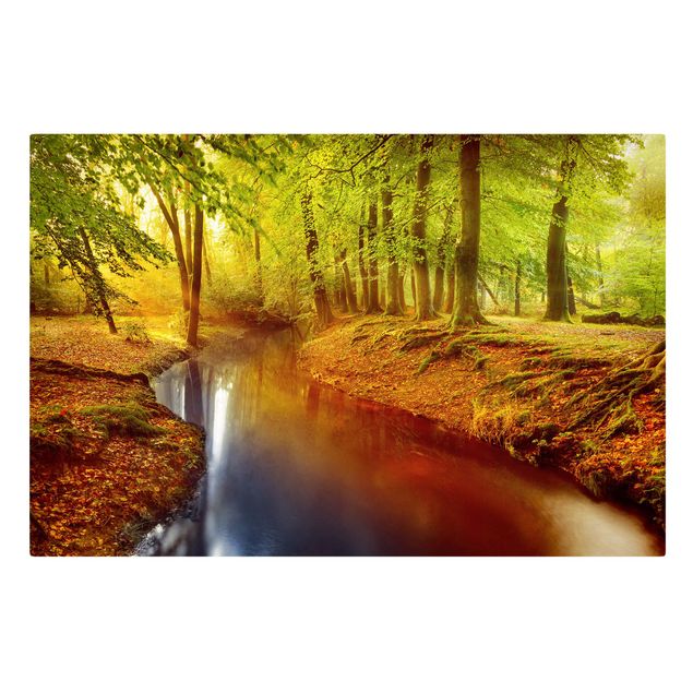 Leinwandbild Herbstwald - Quer 3:2, Grün, Gelb, Braun, Rot