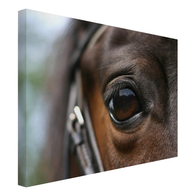 schöne Leinwandbilder Horse Eye