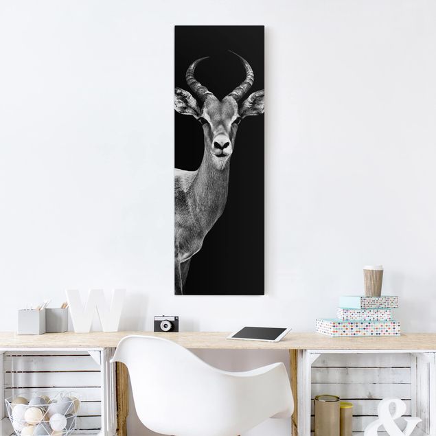 Leinwandbilder Tiere Impala Antilope schwarz-weiß