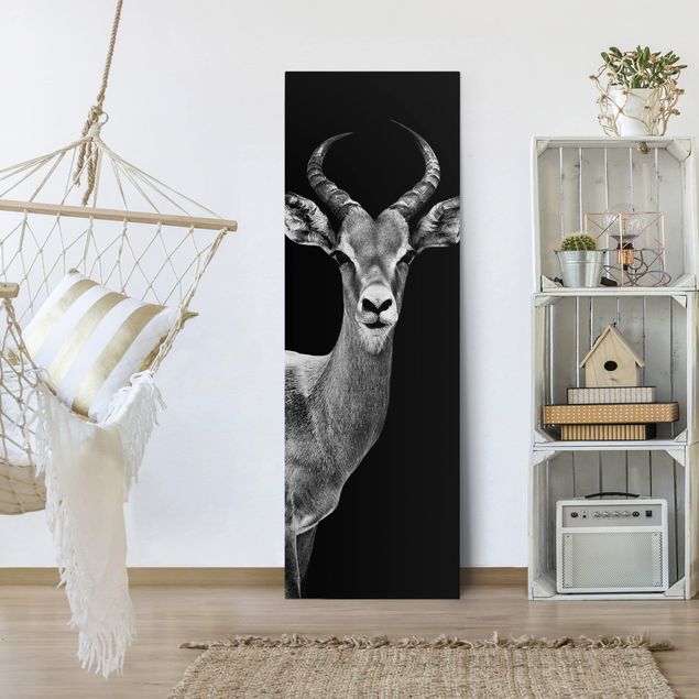 Wandbilder Impala Antilope schwarz-weiß