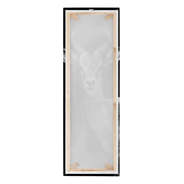 Leinwandbild - Impala Antilope schwarz-weiß - Panoramabild Hoch