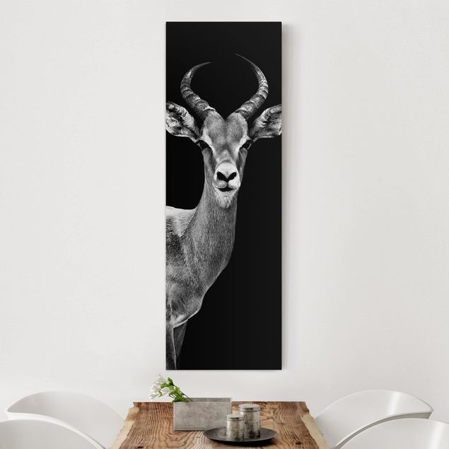 Leinwand schwarz-weiß Impala Antilope schwarz-weiß