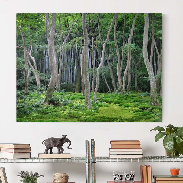 Leinwandbilder Naturmotive Japanischer Wald