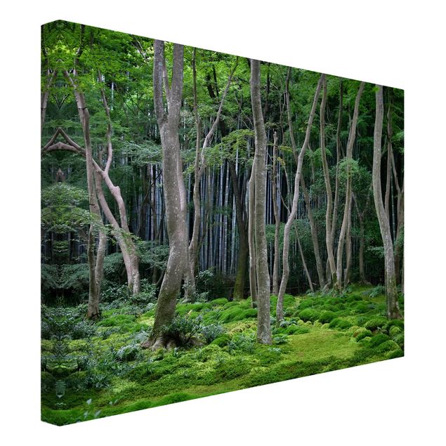 schöne Leinwandbilder Japanischer Wald