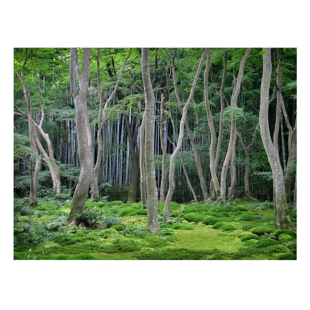 Leinwandbild - Japanischer Wald - Quer 4:3