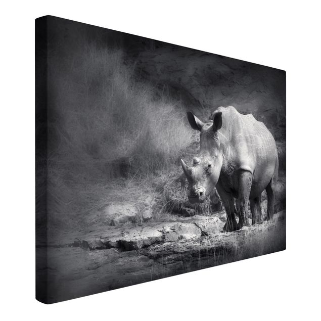 Leinwandbilder kaufen Lonesome Rhinoceros