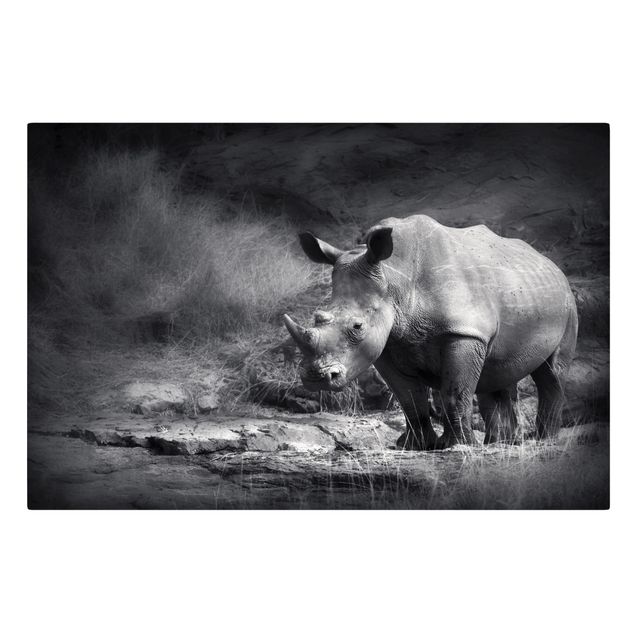 Leinwandbild Schwarz-Weiß - Lonesome Rhinoceros - Quer 3:2
