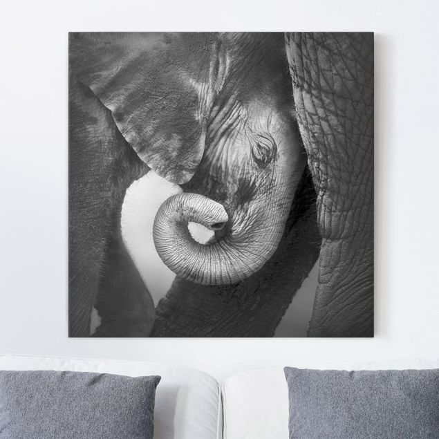 Elefant Leinwand Mutterliebe