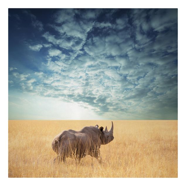 Afrika Leinwandbild Nashorn in der Savanne - Quadrat 1:1