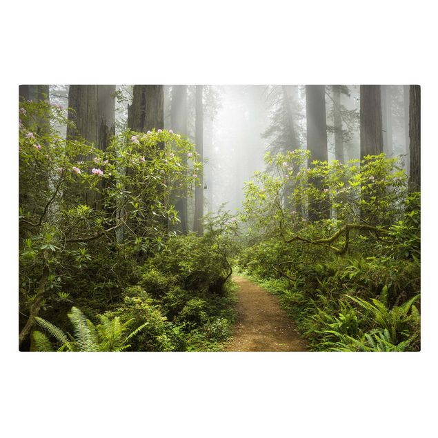 Leinwandbild - Nebliger Waldpfad - Quer 3:2