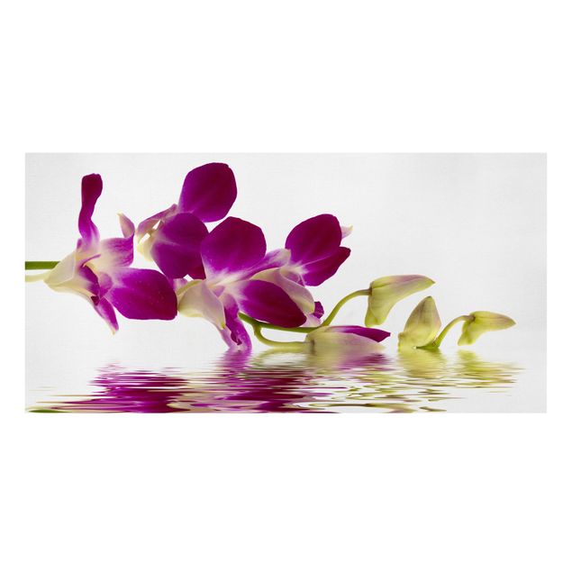 Leinwandbild - Pink Orchid Waters - Quer 2:1