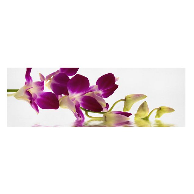 Leinwandbild - Pink Orchid Waters - Panorama Quer