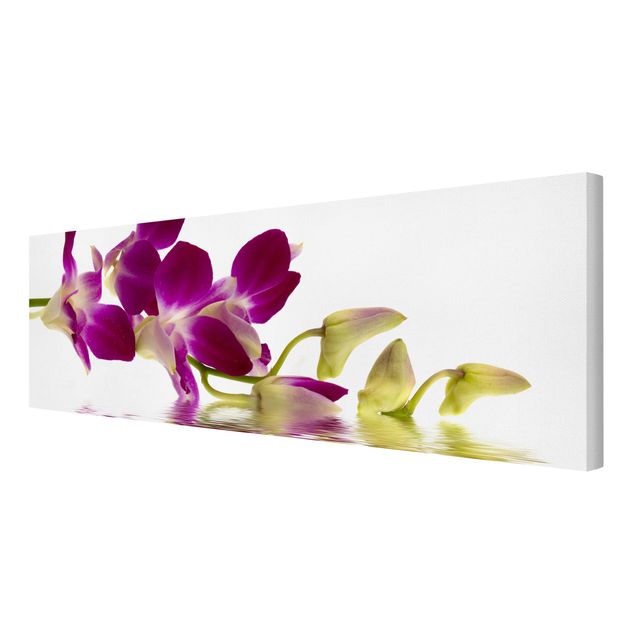 Leinwandbild - Pink Orchid Waters - Panorama Quer