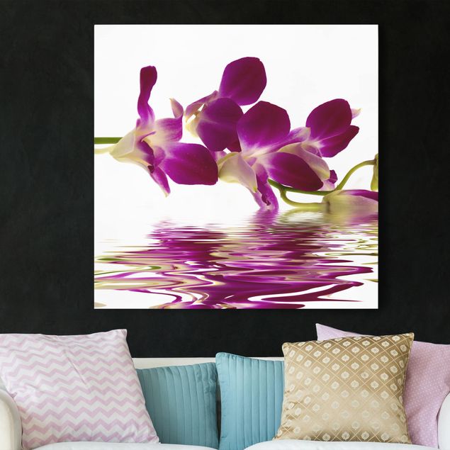 Leinwand Orchidee Pink Orchid Waters