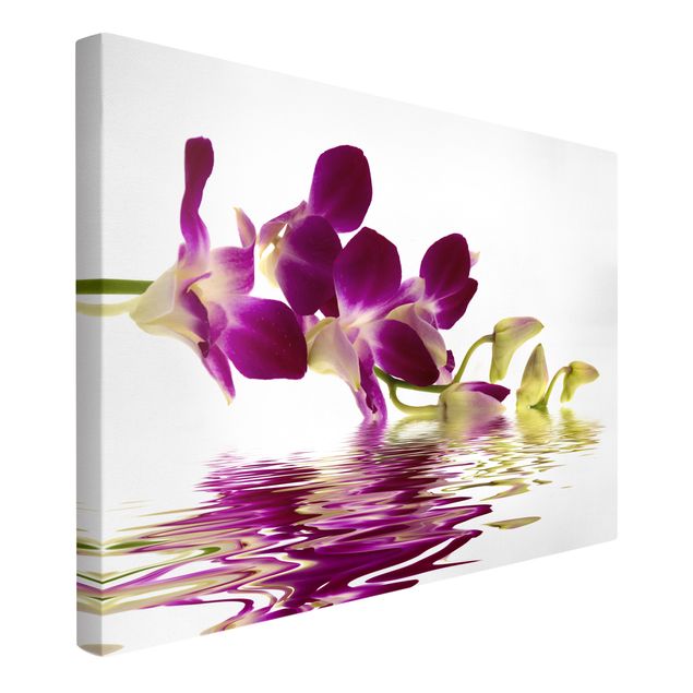 Leinwandbild - Pink Orchid Waters - Quer 3:2