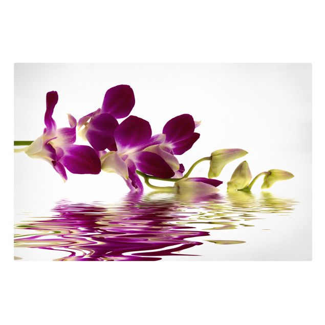 Leinwandbild - Pink Orchid Waters - Quer 3:2