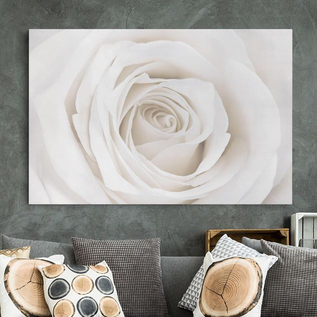 Leinwandbild - Pretty White Rose - Quer 3:2