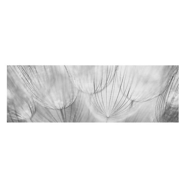 Leinwandbild - Pusteblumen Makroaufnahme in schwarz weiß - Panoramabild Quer