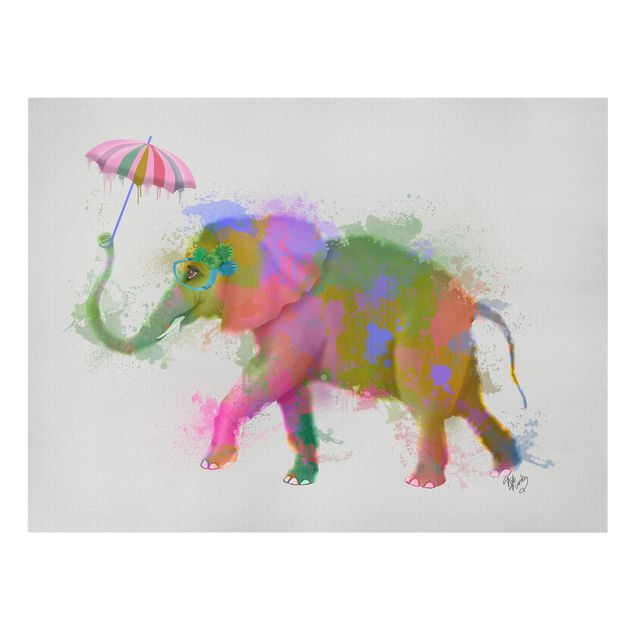 Leinwandbilder Regenbogen Splash Elefant