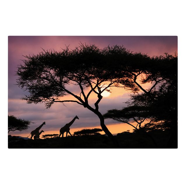 Afrika Leinwandbild Safari in Afrika - Giraffen, Lila, Schwarz, Quer 3:2