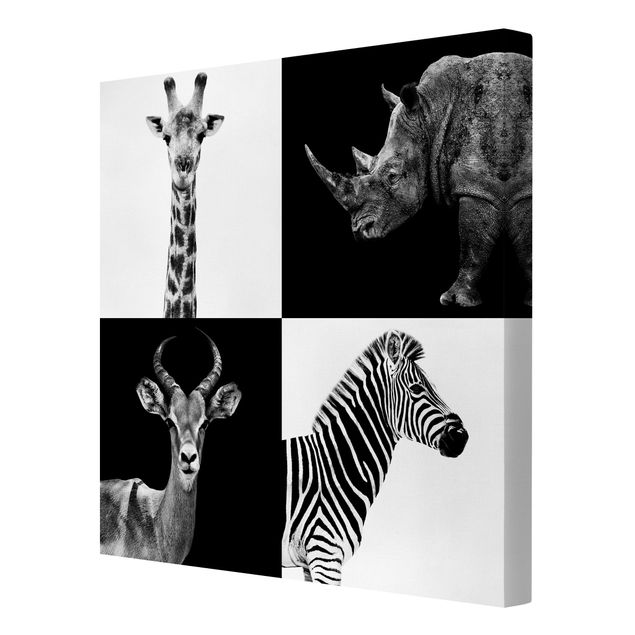 Leinwandbild Schwarz-Weiß - Safari Quartett - Quadrat 1:1
