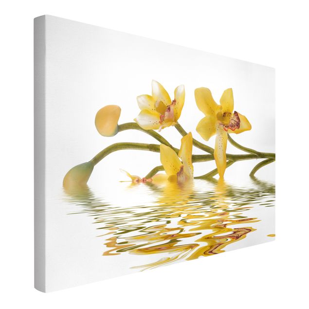 schöne Leinwandbilder Saffron Orchid Waters