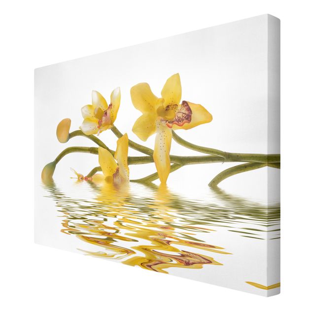 Leinwandbild - Saffron Orchid Waters - Quer 3:2