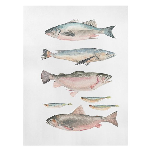 Leinwandbild - Sieben Fische in Aquarell I - Hochformat 4:3
